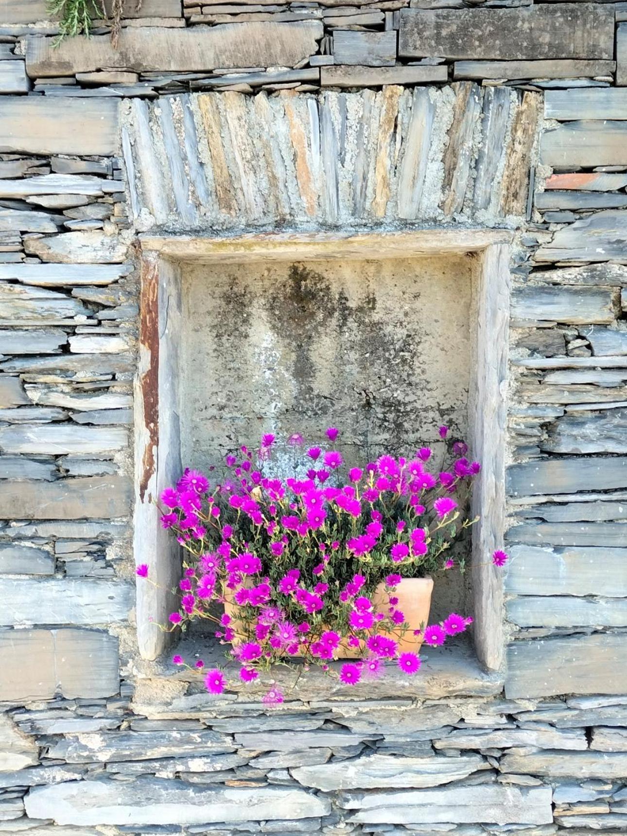Hotel Ca' Da Tollo Cogorno Exterior foto